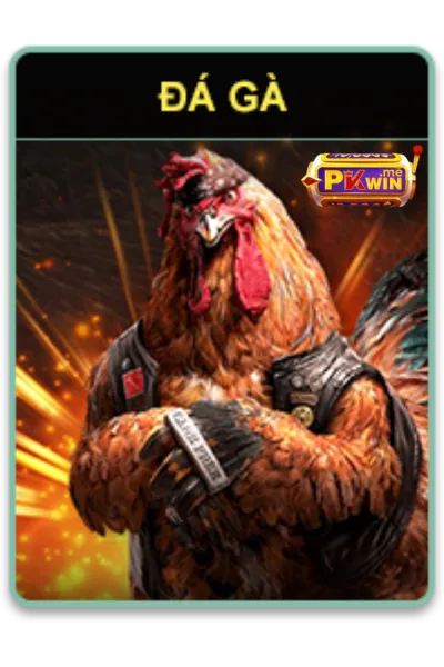 đá gà pkwin