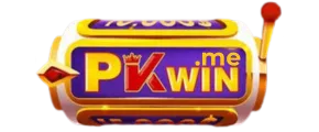 logo pkwin