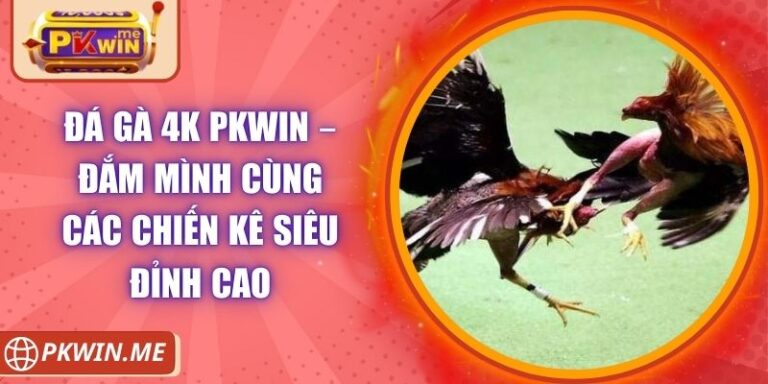 Đá gà 4k PKWIN – Đắm Mình Cùng Các Chiến Kê Siêu Đỉnh Cao 3 Đá gà 4k PKWIN – Đắm Mình Cùng Các Chiến Kê Siêu Đỉnh Cao