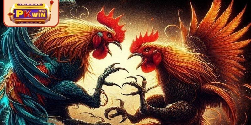 Chiến thuật lựa chọn trận đấu phù hợp