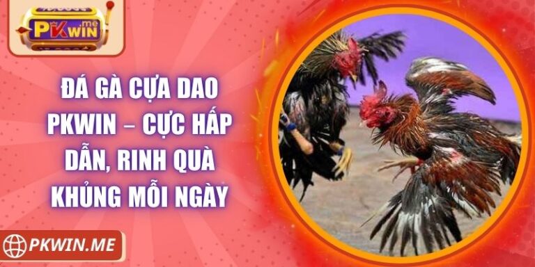 Đá Gà Cựa Dao PKWIN – Cực Hấp Dẫn, Rinh Quà Khủng Mỗi Ngày 4 Đá Gà Cựa Dao PKWIN – Cực Hấp Dẫn, Rinh Quà Khủng Mỗi Ngày