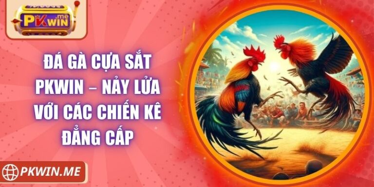 Đá Gà Cựa Sắt PKWIN – Nảy Lửa Với Các Chiến Kê Đẳng Cấp 1 Đá Gà Cựa Sắt PKWIN – Nảy Lửa Với Các Chiến Kê Đẳng Cấp