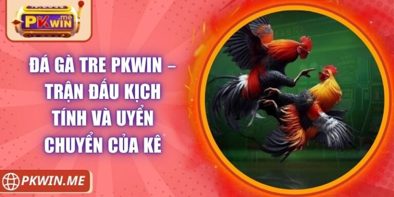 Đá Gà Tre PKWIN – Trận Đấu Kịch Tính Và Uyển Chuyển Của Kê 2 Đá Gà Tre PKWIN – Trận Đấu Kịch Tính Và Uyển Chuyển Của Kê