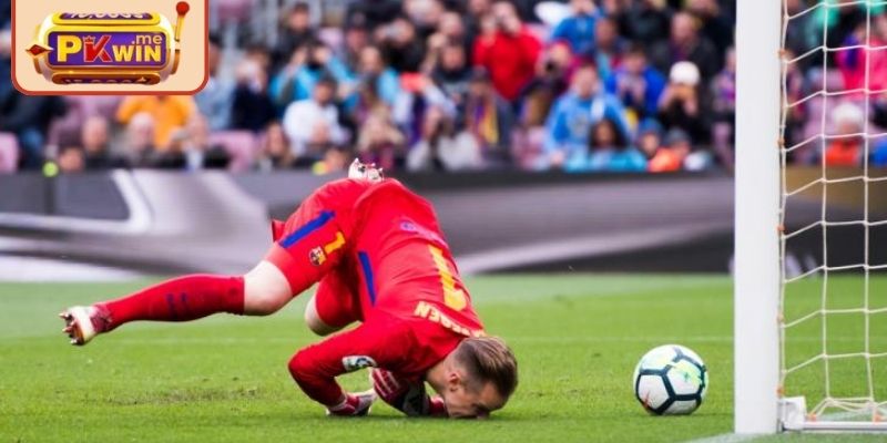 Nắm thông tin về đội tuyển và từng giải đấu