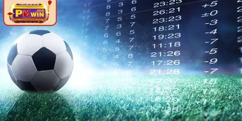 Phân tích các kết quả trước khi soi 