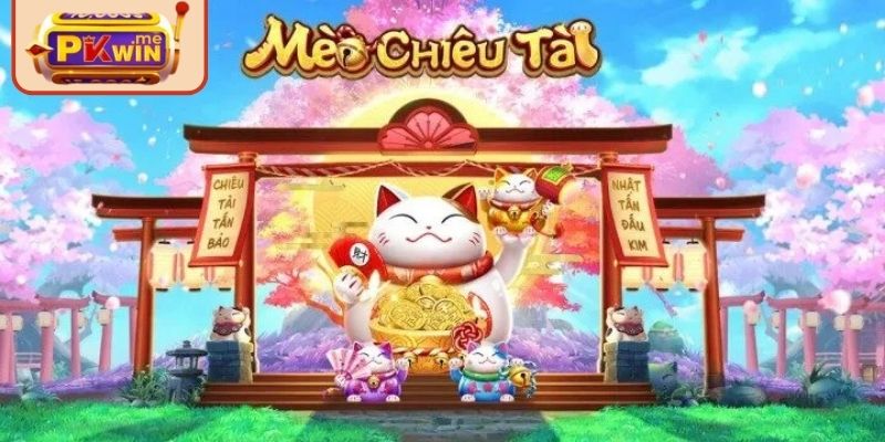 Khám phá tổng quan về mèo chiêu tài PKWIN